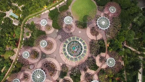 Luftaufnahme von Supertree Grove in den Gardens by the Bay in Singapur