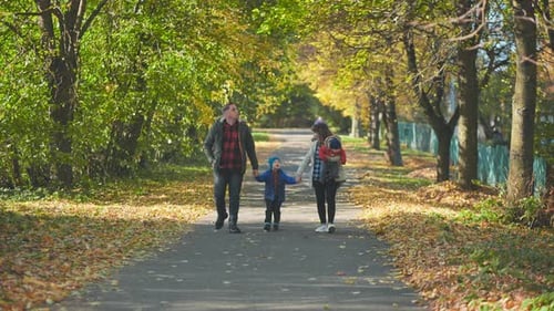 Una familia joven y feliz camina por la carretera de un parque de la ciudad en otoño