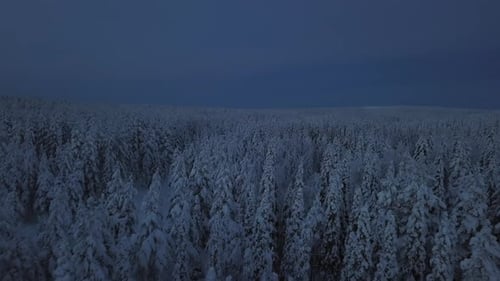 The frozen winterscape of Hanhimaa in Finland. Dynamic shots with a drone.