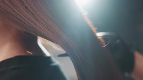 Shiny Brown Hair in a Salon