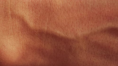 Hand Skin Texture Closeup Veins on Hand Healthcare Medicine Concept
