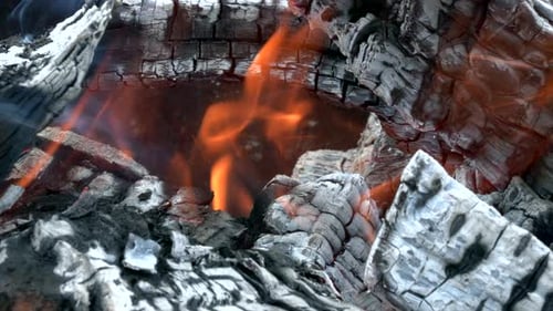 The flames of a fire in a fire pit burning the wood in the campfire.
