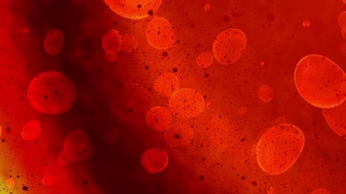 Abstract Red Blood Cells Floating Microscopic Background Animation