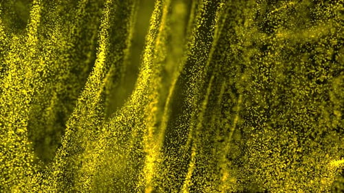Slow Motion Dust Particles Floating. Gold Award Loop