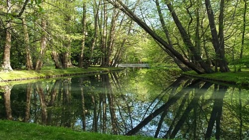 Beautiful Spring Lake and Forest