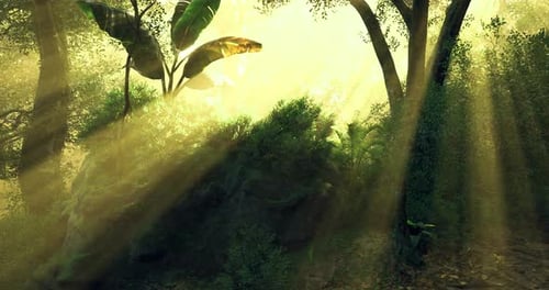 Rays of Sunlight Filtering Through Dense Forest Foliage in Tranquil Setting