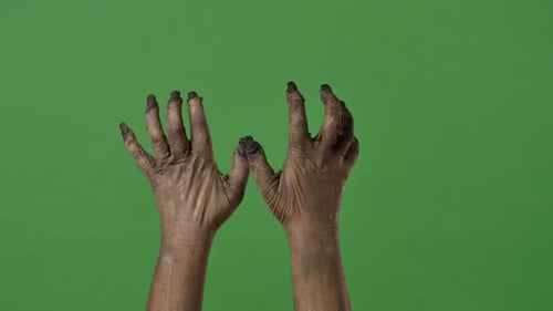 A Creepy Zombie Hands is Frightening