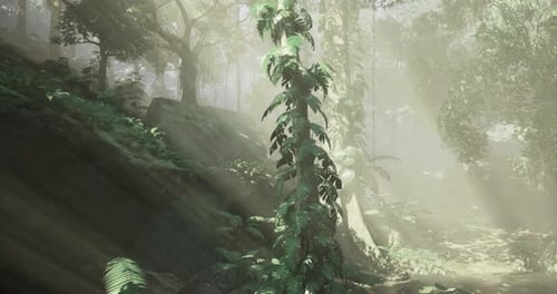 Sunlight Filtering Through Lush Foliage in a Serene Forest Setting