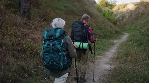 Senior Tourists Friends Walk Carrying Backpacks Between Hills
