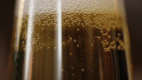 Close Up of Bubbles in Glass Filled with Sparkling Wine
