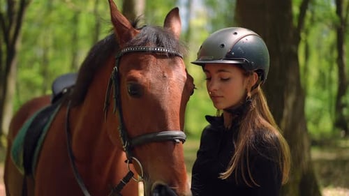 Joven mujer encantadora acariciando la cara y la melena de un elegante caballo de pie con un animal en un bosque soleado
