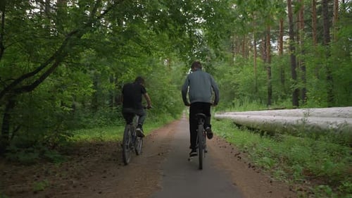 Two Friends Riding Bicycles Along Untarred Paved Path in Lush Greenery