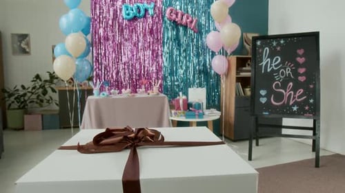 Gender Reveal Party Decorations and Gift Reveal Box
