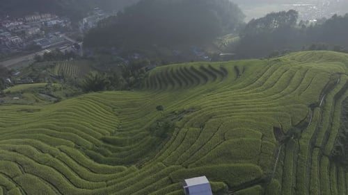 Aerial view of Mu Cang Chai rice filed in Vietnam