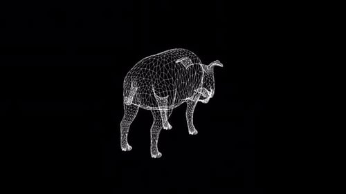 Schweine-Drahtmodell