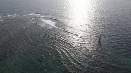 Aerial Beach Waves