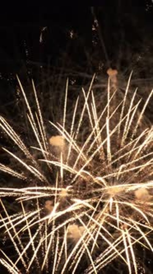 Fogos de artifício no céu em fundo preto