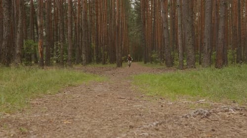 Boy Cycling Towards Camera on Forest Path