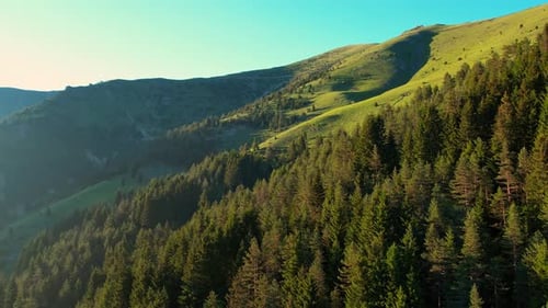 Green Forest Valleys