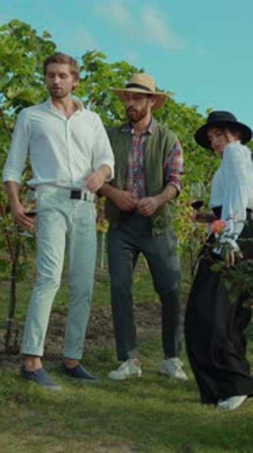 Vineyard Gathering Stylish Friends Experience and Enjoy Natures Beautiful Scenery
