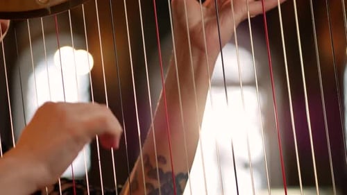 Harp Music Performance Close Up