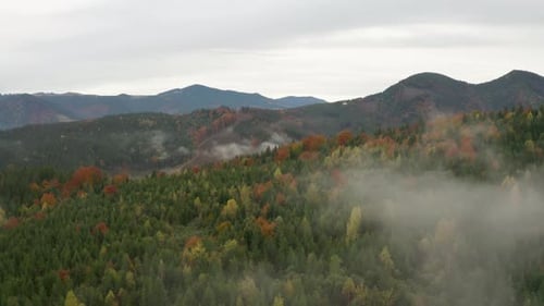 Flying forward over beautiful mountain forest in autumn. Picturesque landscape
