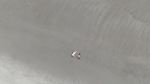 Aerial Top Down View of Couple Walking on the Beach
