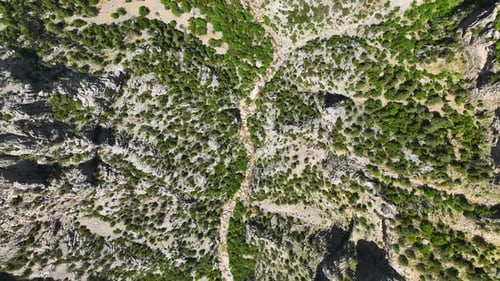 Nature's Symphony: vista aérea de majestuosas montañas, frondosos bosques primaverales y elegantes montañas