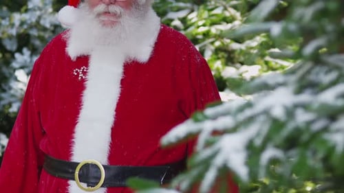 Père Noël agitant joyeusement à l'extérieur en hiver, neige avec arbre de Noël