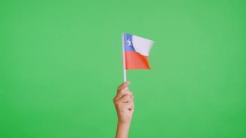 Hand waving small flag on green background