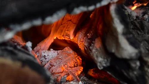Close up shot of firewood burning and turning to hot coal