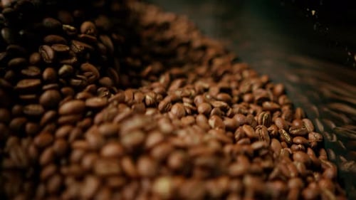 Fresh Roasted Coffee Beans Tumbling in Machine