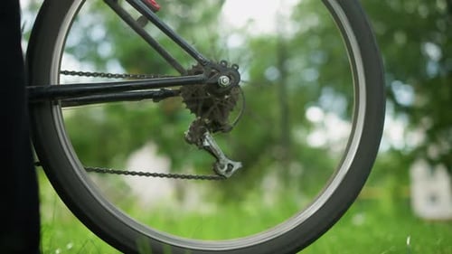 CloseUp of Rotating Bicycle Rear Wheel and Gear System in Outdoor Setting