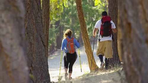 Couple Hiking Outdoors Through Trees Active