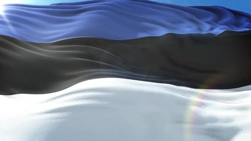 Bright Estonian Flag Waving Against Blue Sky