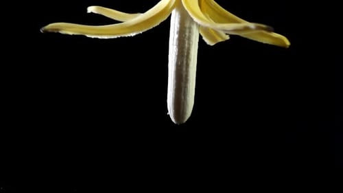 Flying of Banana and Slices with Luma Matte