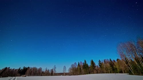 Time-lapse of the milky way moving over trees in the forest. Snowy winter. Night and night lapse sho