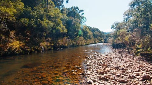 Clean Rapid River Flows in Brazilian Highlands