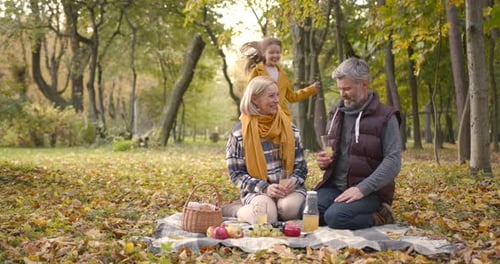Family Picnic in an Autumn Park with Colorful Leaves