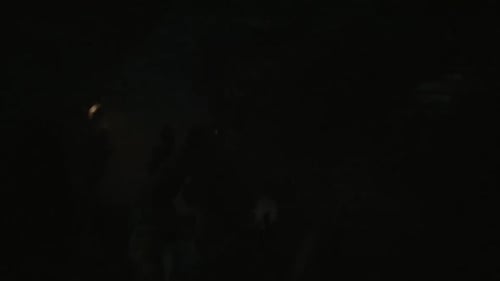 Contrast shot of a crowd from behind in slowmotion clapping and cheering inside a club