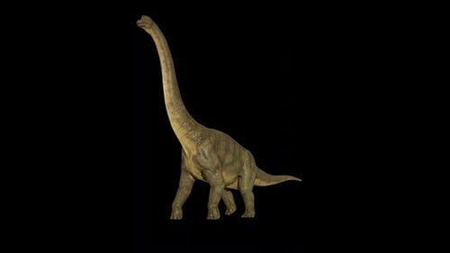 Brachiosaurus-Wandertour