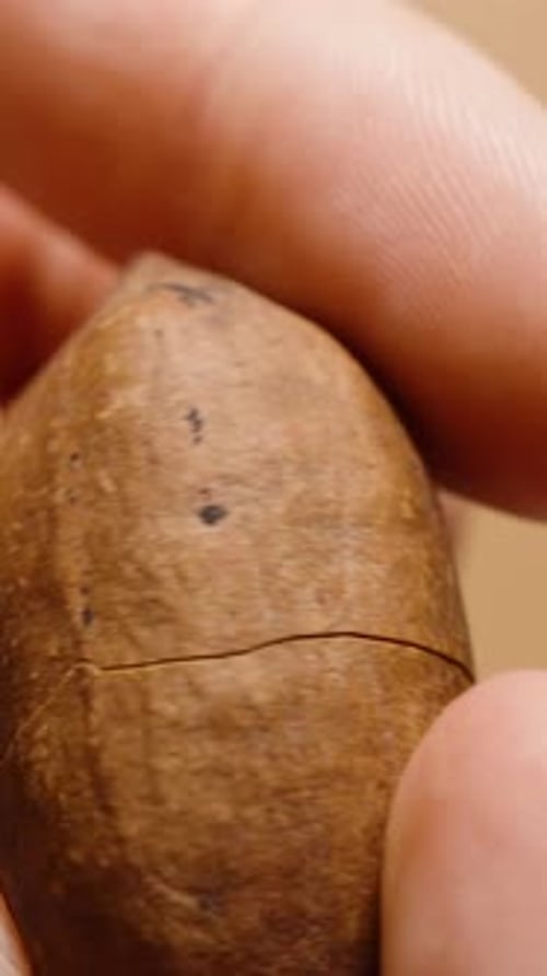 Vertical video. Pecan nut being peeled in close-up, on a light brown background.