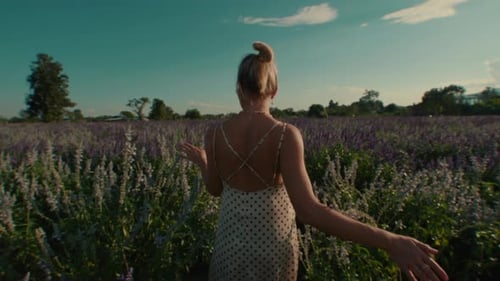 The Female Walks Back Through the Flower Meadow in Thick High Grass