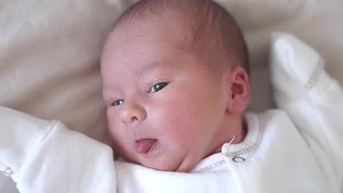 Newborn Baby Yawns While Resting