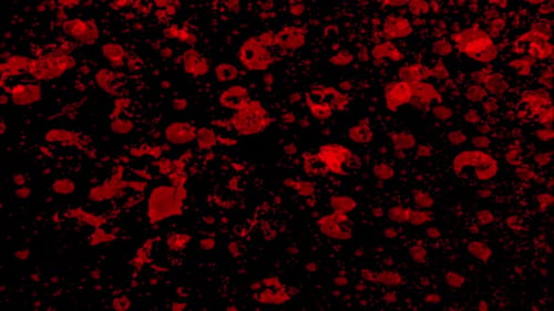 Red Blood Paint Splatter Grunge Overlay