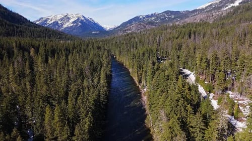 Backwards scenic shot of river and Evergreen forest with snow capped mountains in the background in