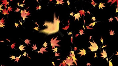 Falling Autumn Maple Leaves Overlay