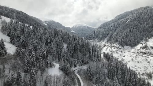 Paysage d'hiver