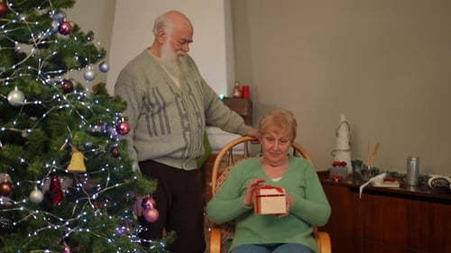 Senior Man Gives Christmas Gift to Woman