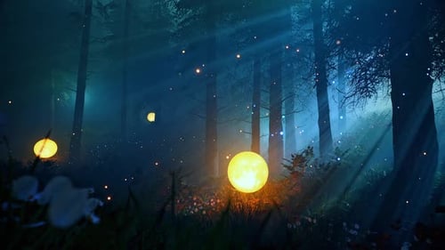 Calm forest in the morning looped HD